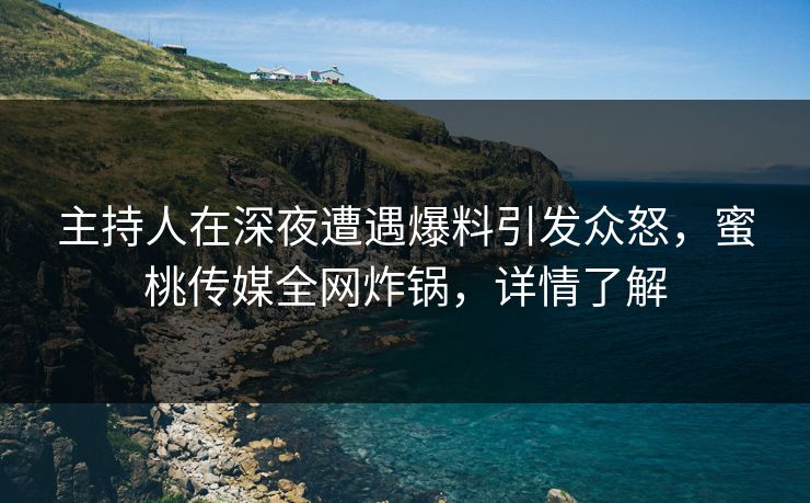 主持人在深夜遭遇爆料引发众怒，蜜桃传媒全网炸锅，详情了解