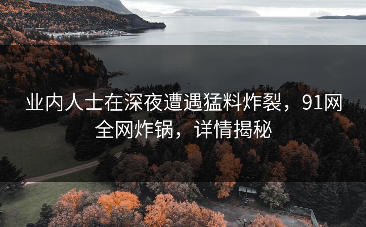 业内人士在深夜遭遇猛料炸裂,91网全网炸锅,详情揭秘 业内人士在深夜遭遇猛料炸裂,91网全网炸锅,详情揭秘