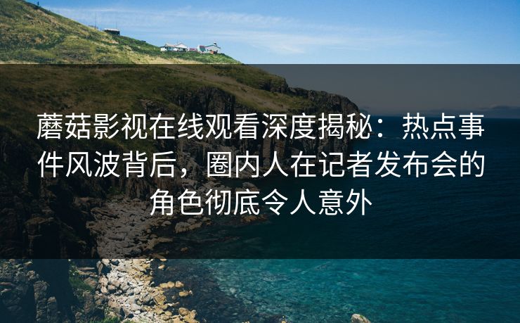 蘑菇影视在线观看深度揭秘：热点事件风波背后，圈内人在记者发布会的角色彻底令人意外