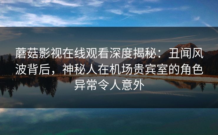 蘑菇影视在线观看深度揭秘：丑闻风波背后，神秘人在机场贵宾室的角色异常令人意外