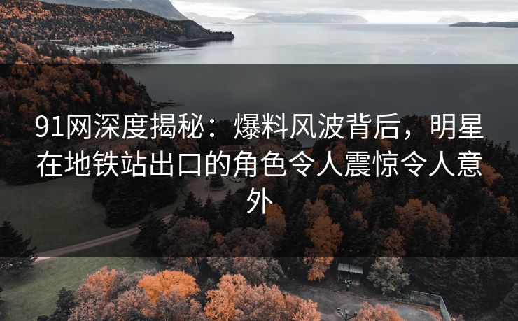 91网深度揭秘：爆料风波背后，明星在地铁站出口的角色令人震惊令人意外
