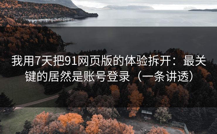 我用7天把91网页版的体验拆开:最关键的居然是账号登录(一条讲透) 我用7天把91网页版的体验拆开:最关键的居然是账号登录(一条讲透)